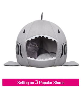 Dropshipping Dog Products: A Definitive Guide 2021